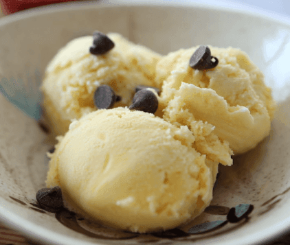 Vanilla Raw Milk Ice Cream